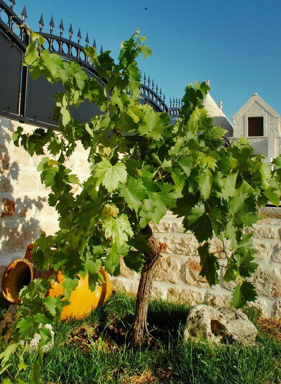 مبيت وإفطار لوكوروتوندو Trulli Isago المظهر الخارجي الصورة
