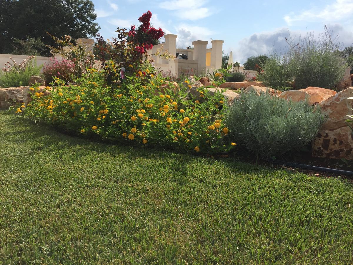 مبيت وإفطار لوكوروتوندو Trulli Isago المظهر الخارجي الصورة